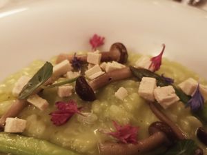 Mushroom risotto with tofu and asparagus at A Ver Tavira in Tavira
