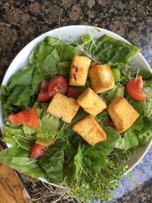 Organic golden tofu square on Salad at Hakka Kitchen in Jacksonville