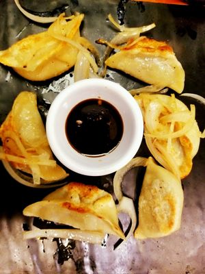 Vegan Dumplings...so good at Hakka Kitchen in Jacksonville