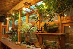 in the store at Future Food Cafe Restaurant Tubu Tubu in Tokyo