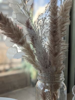 Decor at The Moth Cafe - Downtown in Edmonton