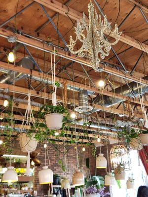  at The Moth Cafe - Downtown in Edmonton