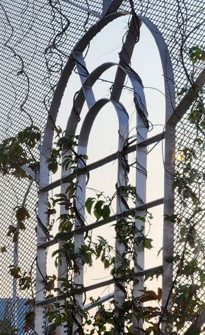  at The Moth Cafe - Downtown in Edmonton