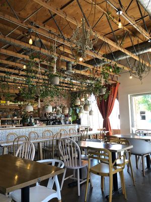  at The Moth Cafe - Downtown in Edmonton