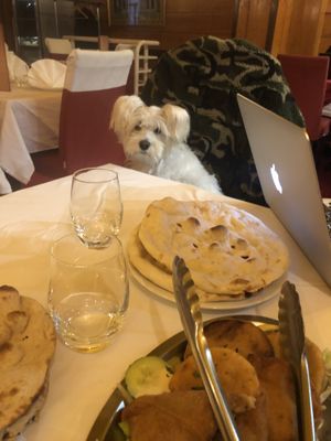Dog friendly! at Lassani in Courbevoie