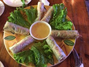 Fresh spring rolls at Le Gecko in Sapa
