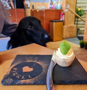 beautiful dog treats (but it wasn't vegan) at Kibble Bakery in Skipton