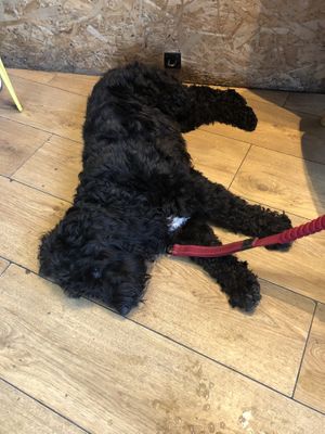   at Kibble Bakery in Skipton