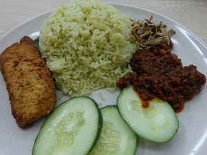 Nasi Lemak with crispy (mock) fish  at SHU Vegetarian 蔬方斋 in West Singapore