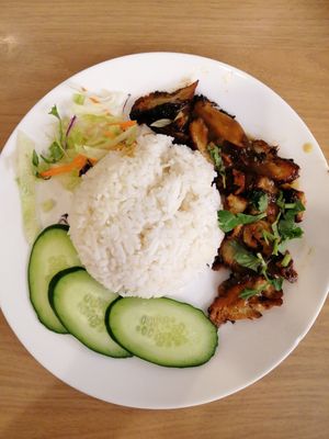 Vegetarian roasted pork rice at Maitree Cafe 慈素轩 in Central Singapore
