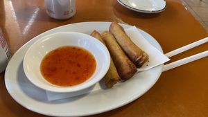 Veggie spring rolls   at Zen of Sushi in Port St Lucie