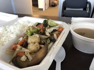 Mixed veggie lunch special with tofu (to go). Big hearty chunks of tofu and veggies, delicious ! at Zen of Sushi in Port St Lucie
