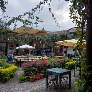 The garden/courtyard #Veganuary at La Bruja Vegan Foods in Antigua