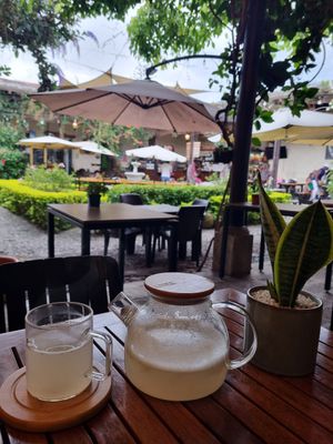  at La Bruja Vegan Foods in Antigua