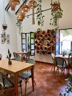   at La Bruja Vegan Foods in Antigua