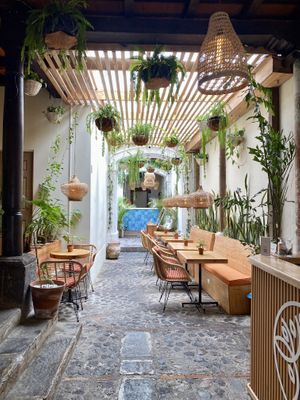   at La Bruja Vegan Foods in Antigua