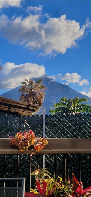  at La Bruja Vegan Foods in Antigua