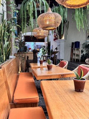   at La Bruja Vegan Foods in Antigua