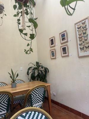   at La Bruja Vegan Foods in Antigua