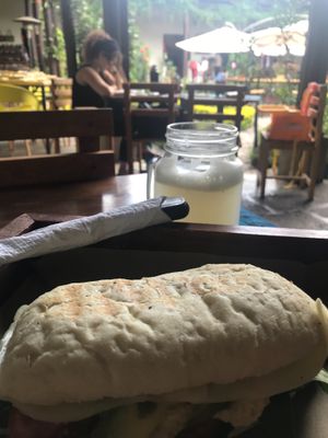 Perfect sandwich and lemonade for a midday oasis. at La Bruja Vegan Foods in Antigua