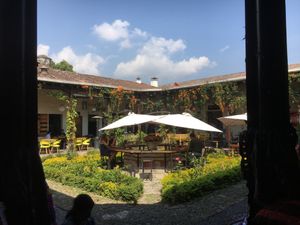 Beautiful calm surroundings!  at La Bruja Vegan Foods in Antigua