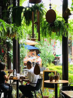 Our Garden at La Bruja Vegan Foods in Antigua