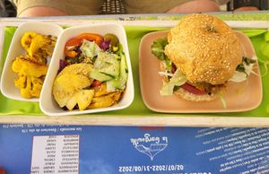 Vegan burger with salad at Une Cuillère Pour Maman in Bergerac