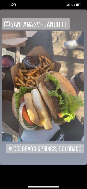 Chicken sandwich and hamburger   at Santana's Vegan Grill in Colorado Springs