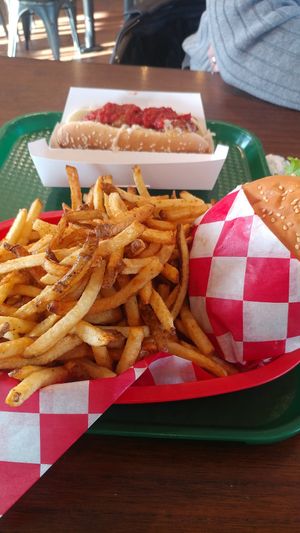 Seasoned Fries at Santana's Vegan Grill in Colorado Springs