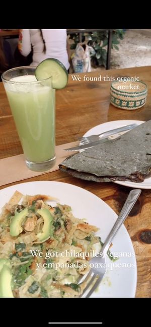 Empanadas, agua fresca, y chilaquiles at Mercado Organico La Cosecha in Oaxaca