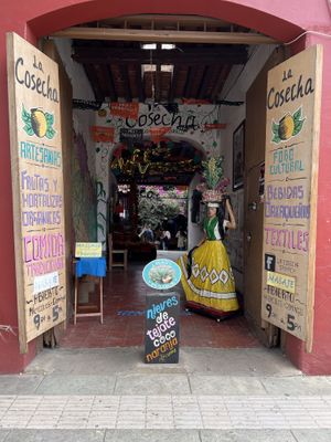   at Mercado Organico La Cosecha in Oaxaca