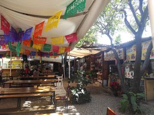  at Mercado Organico La Cosecha in Oaxaca