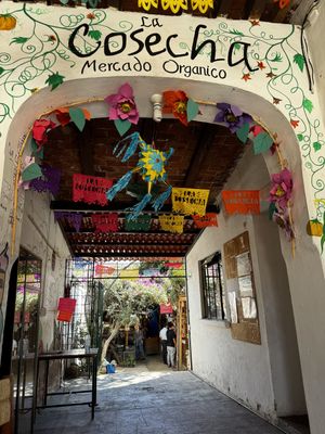 Entrance  at Mercado Organico La Cosecha in Oaxaca
