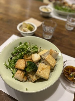 Tofu bib  at Ecotopia in Busan