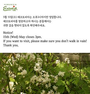   at Ecotopia in Busan