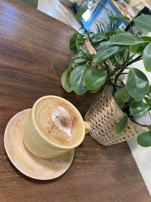 Cappacibo    at Ecotopia in Busan