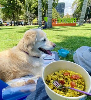 Delicious picnic-worthy breakfast at Makeout Colombia in Bogota
