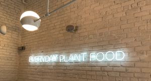Everyday plant food at Makeout Colombia in Bogota
