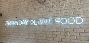 All the dishes are vegan and Plant-based  at Makeout Colombia in Bogota