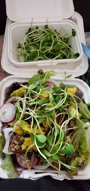 Build your own salad at The Salad Concept - Nimman Branch in Chiang Mai