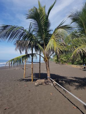 Slackline on the beach of this place at Vida Hermosa in Playa Hermosa