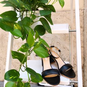 Apple sandals at Furture Scarpe e Accessori Cruelty Free in Rome
