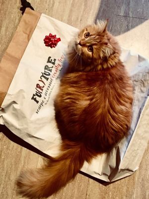 Happy costumers at Furture Scarpe e Accessori Cruelty Free in Rome