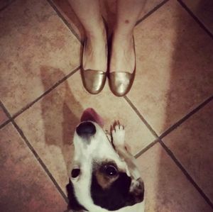 Happy costumers with Scotti vegan shoes at Furture Scarpe e Accessori Cruelty Free in Rome