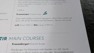 Vegan soup at Krauma Geothermal Baths in Reykholt