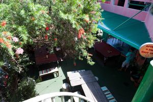 Yard at Green Shelter in Koh Tao