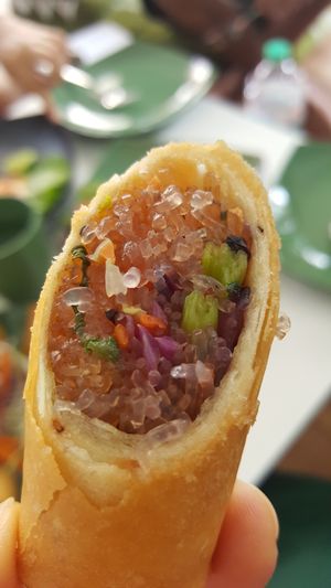 Spring Roll at Green Shelter in Koh Tao