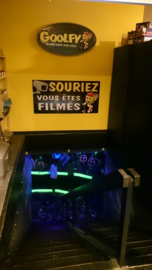 'Goolfy' is an inside golf court at Vegetalicia in Namur