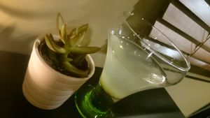 Special water at Vegetalicia in Namur