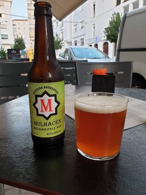 Cerveca ecológica at Casa Veggy in Nerja